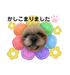 小太郎のあいさつ︎︎︎︎8❤︎"（個別スタンプ：1）