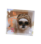 小太郎のあいさつ︎︎︎︎8❤︎"（個別スタンプ：7）