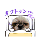 小太郎のあいさつ︎︎︎︎8❤︎"（個別スタンプ：8）