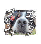 Eriiのまりぐれ（個別スタンプ：1）