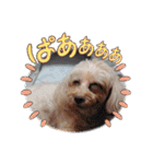 Eriiのまりぐれ（個別スタンプ：2）