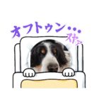 Eriiのまりぐれ（個別スタンプ：3）