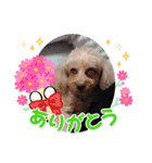 Eriiのまりぐれ（個別スタンプ：6）