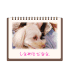 Eriiのまりぐれ（個別スタンプ：10）