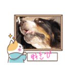 Eriiのまりぐれ（個別スタンプ：12）