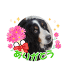Eriiのまりぐれ（個別スタンプ：21）