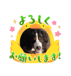 Eriiのまりぐれ（個別スタンプ：23）