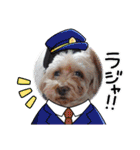 Eriiのまりぐれ（個別スタンプ：24）