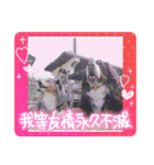 Eriiのまりぐれ（個別スタンプ：25）