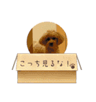 Eriiのまりぐれ（個別スタンプ：28）