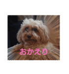 Eriiのまりぐれ（個別スタンプ：30）