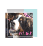 Eriiのまりぐれ（個別スタンプ：32）