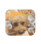 Eriiのまりぐれ（個別スタンプ：34）