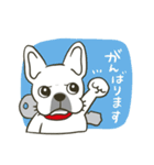 看板犬ハナ（個別スタンプ：7）