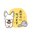 看板犬ハナ（個別スタンプ：11）