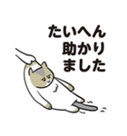 ひっぱられる猫たち その6（個別スタンプ：2）