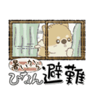 柴犬・ちゃちゃ丸 44『夏真っ盛り』（個別スタンプ：21）