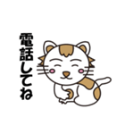 使える猫ちゃんスタンプ（個別スタンプ：17）