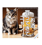 お酒と猫（ビールジョッキ）（個別スタンプ：12）