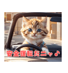 ねこドライブ（個別スタンプ：1）