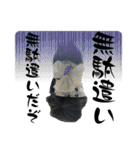 黒モフ3（個別スタンプ：33）