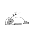 ニャンメェ（個別スタンプ：5）