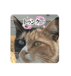 ぴかそちゃん（個別スタンプ：2）