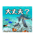 ウミガメ大好き、沖縄行きたい。（個別スタンプ：9）