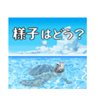 ウミガメ大好き、沖縄行きたい。（個別スタンプ：10）