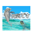 ウミガメ大好き、沖縄行きたい。（個別スタンプ：12）