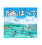 ウミガメ大好き、沖縄行きたい。（個別スタンプ：15）