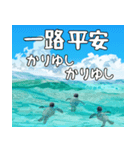 ウミガメ大好き、沖縄行きたい。（個別スタンプ：18）