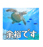 ウミガメ大好き、沖縄行きたい。（個別スタンプ：19）