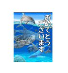 ウミガメ大好き、沖縄行きたい。（個別スタンプ：24）