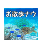 ウミガメ大好き、沖縄行きたい。（個別スタンプ：26）