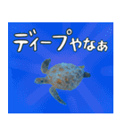 ウミガメ大好き、沖縄行きたい。（個別スタンプ：31）