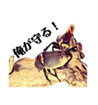 Beetle＆Stag beetle 第2弾（個別スタンプ：2）