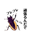 Beetle＆Stag beetle 第2弾（個別スタンプ：6）