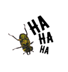 Beetle＆Stag beetle 第2弾（個別スタンプ：10）