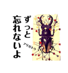 Beetle＆Stag beetle 第2弾（個別スタンプ：13）