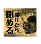 Beetle＆Stag beetle 第2弾（個別スタンプ：14）
