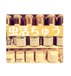 Beetle＆Stag beetle 第2弾（個別スタンプ：16）