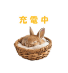 まるっとAI動物園(うさぎVer.)（個別スタンプ：33）