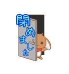 会室のうさぎ（個別スタンプ：3）