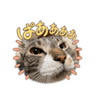 ボクは大ちゃん3（個別スタンプ：4）