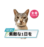 ボクは大ちゃん3（個別スタンプ：7）