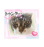 ボクは大ちゃん3（個別スタンプ：8）