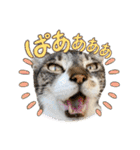 ボクは大ちゃん3（個別スタンプ：13）