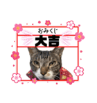 ボクは大ちゃん3（個別スタンプ：14）