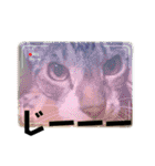 ボクは大ちゃん3（個別スタンプ：19）
